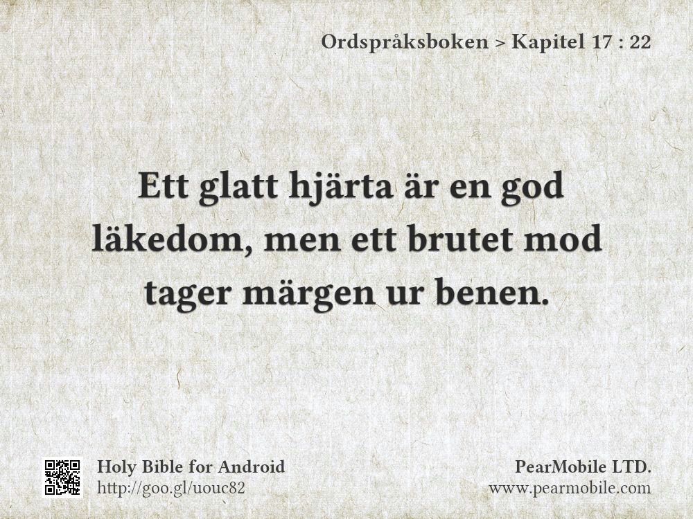 Ordspråksboken, Kapitel 17:22